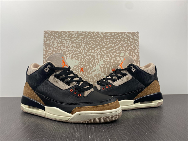 Jordan 3 Retro Desert Elephant CT8532-008