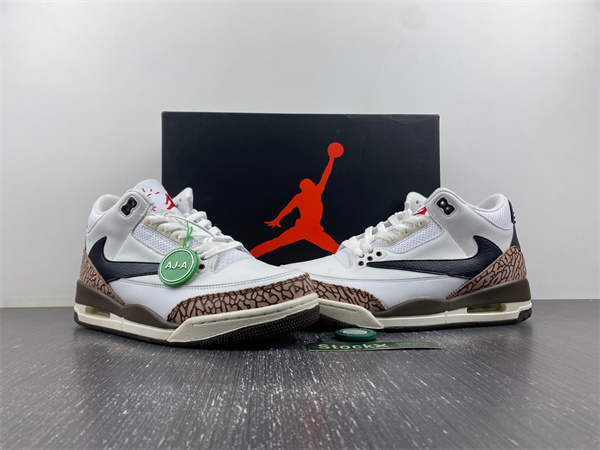Travis Scott x Air Jordan 3