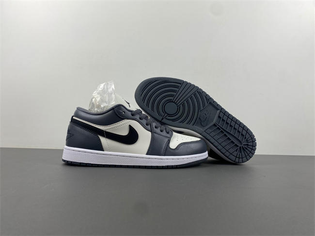 Air Jordan 1 Low DC0774-102