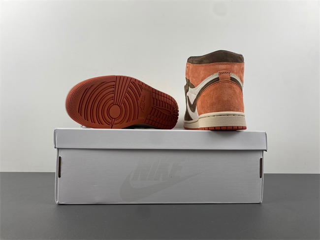 Air Jordan 1 High OG WMNS “Dusted Clay” FQ2941-200 22