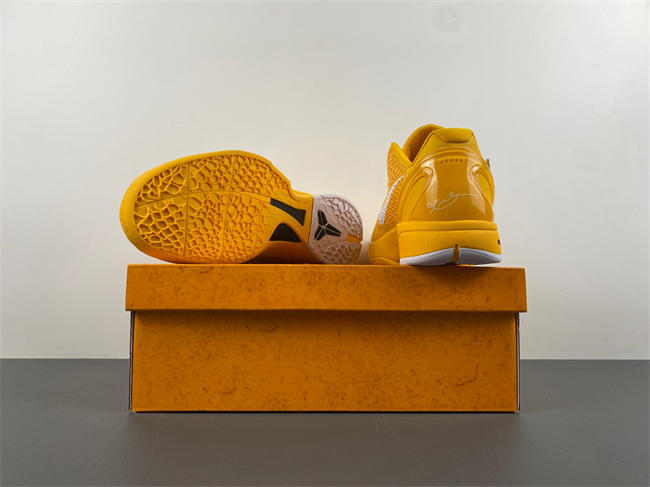 Nike Kobe 6 Protro CW2190-501