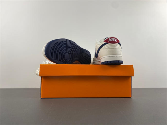 SB Dunk Low FC1688-134