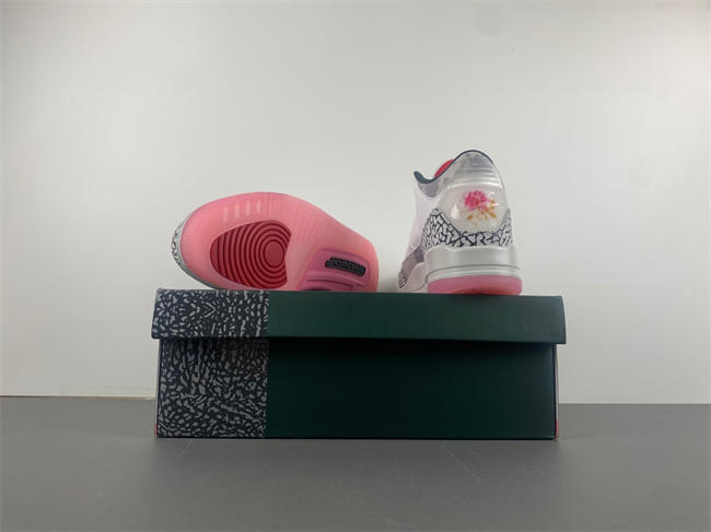 Air Jordan 3 “Wings”  HM6993-100