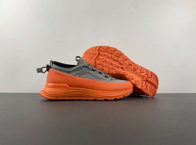 （Can*a Go*e）glacier trai. 7785m