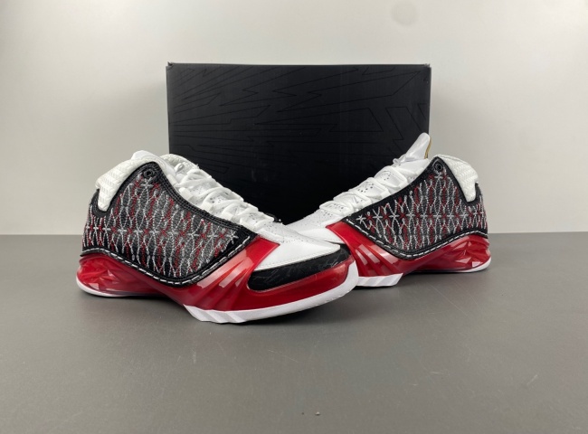 Titan x Air Jordan 23 318376-061