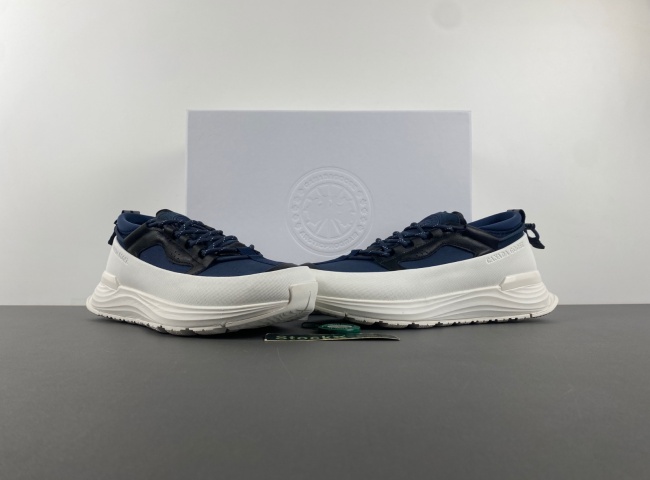 （Can*a Go*e）glacier trai. 7785m