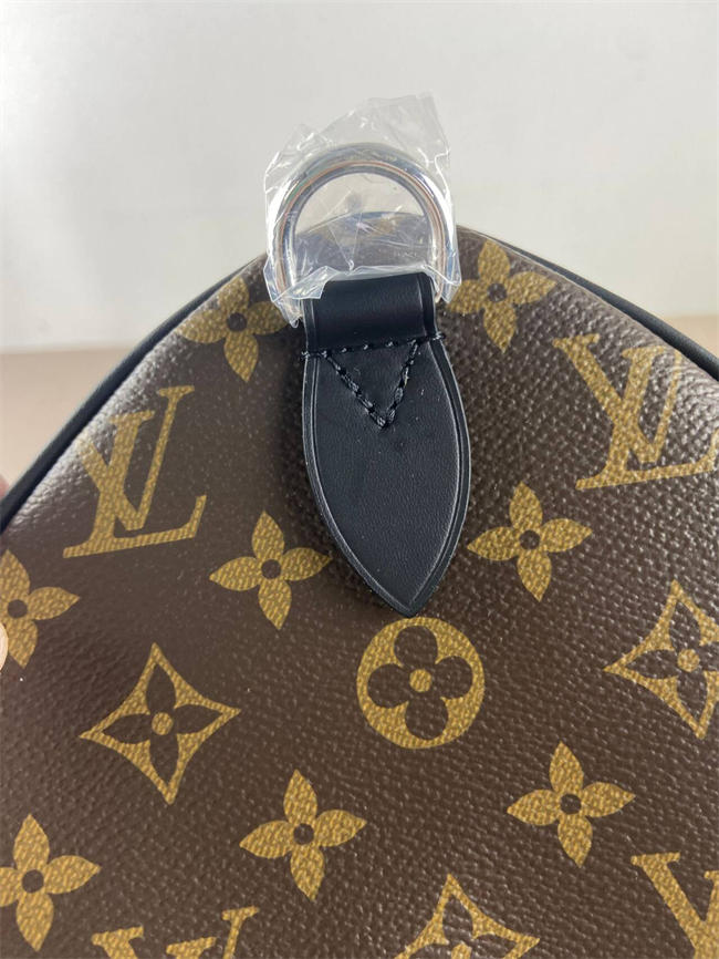 LV BAG