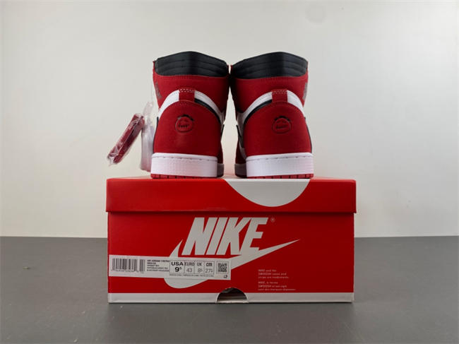 Travis Scott x Jordan Air Jordan 1 High OG DH3227-601