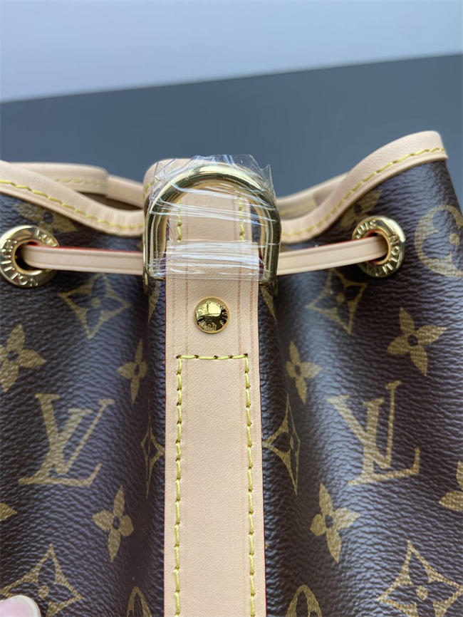 LV BAG