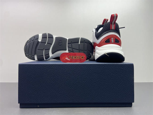 D10r b22 sneaker
