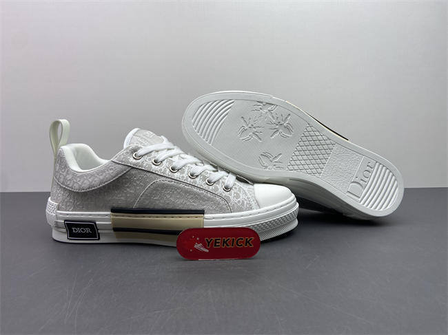 D10r b23 sneaker