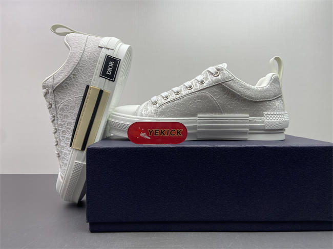 D10r b23 sneaker