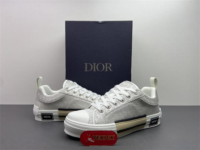 D10r b23 sneaker