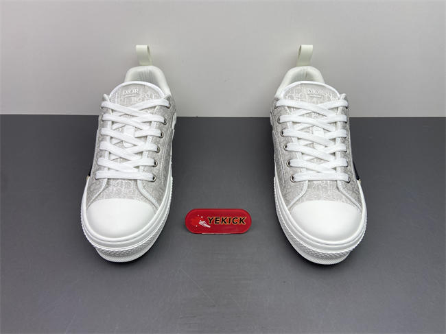 D10r b23 sneaker