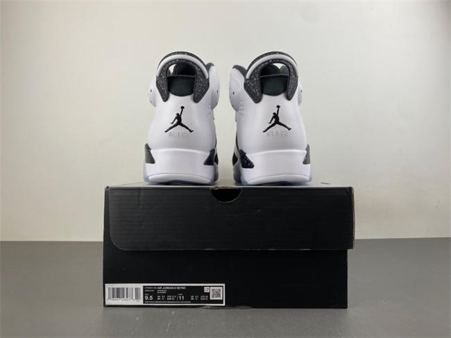 Air Jordan 6 