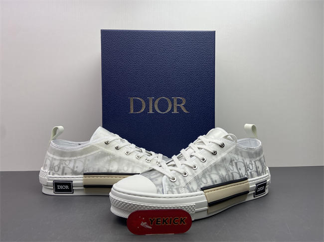 D10r b23 low top sneaker