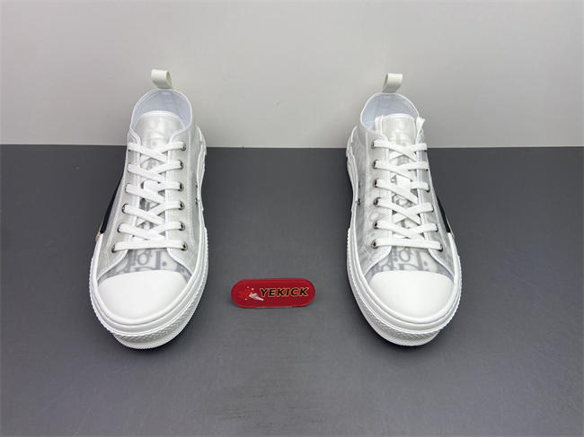 D10r b23 low top sneaker