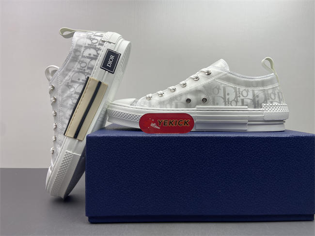 D10r b23 low top sneaker