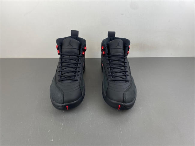 Air Jordan 12 Retro Bloodline CT8013-003