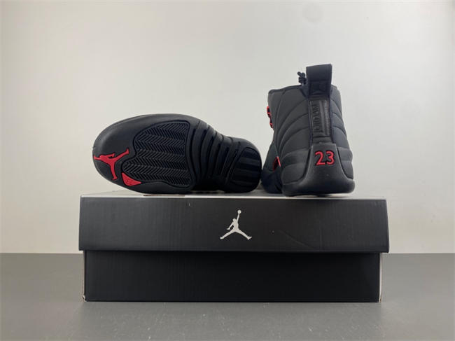 Air Jordan 12 Retro Bloodline CT8013-003