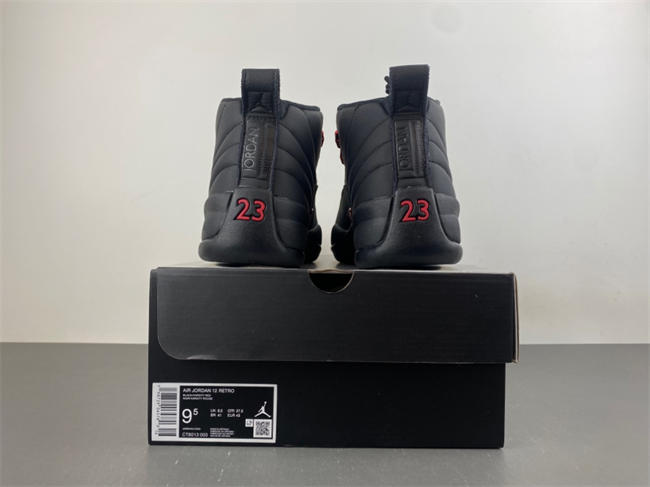 Air Jordan 12 Retro Bloodline CT8013-003