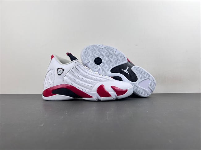 Air Jordan 14 Retro 487471-100