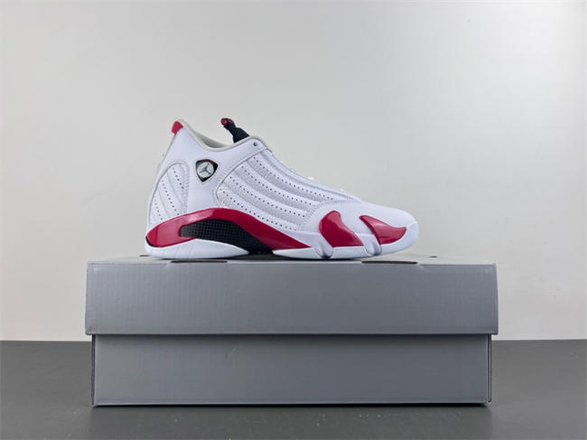 Air Jordan 14 Retro 487471-100