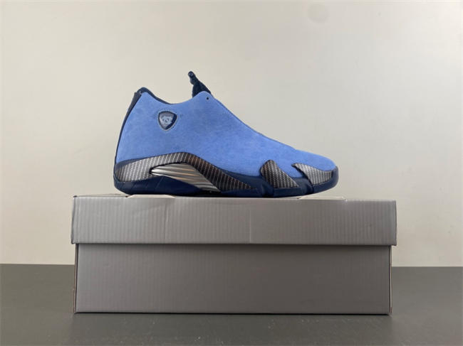 Air Jordan 14 PE IF5015-407