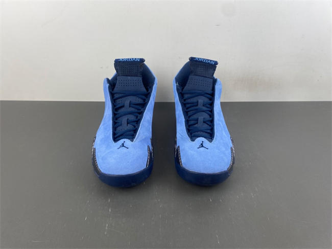 Air Jordan 14 PE IF5015-407