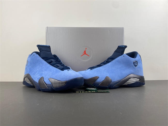 Air Jordan 14 PE IF5015-407