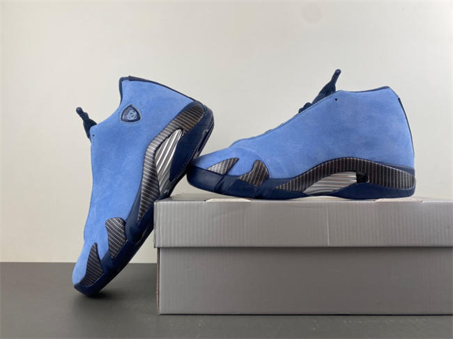 Air Jordan 14 PE IF5015-407