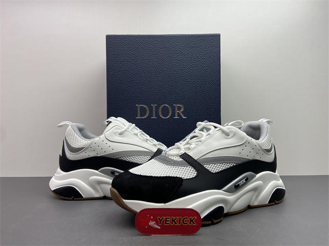 D10r b22 sneaker