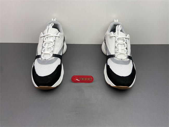D10r b22 sneaker