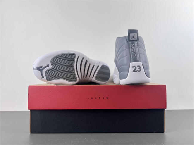 Air Jordan 12 Retro Stealth CT8013-015