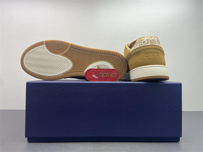 D10r b27 sneaker