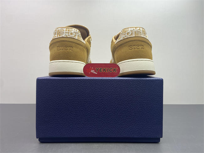 D10r b27 sneaker