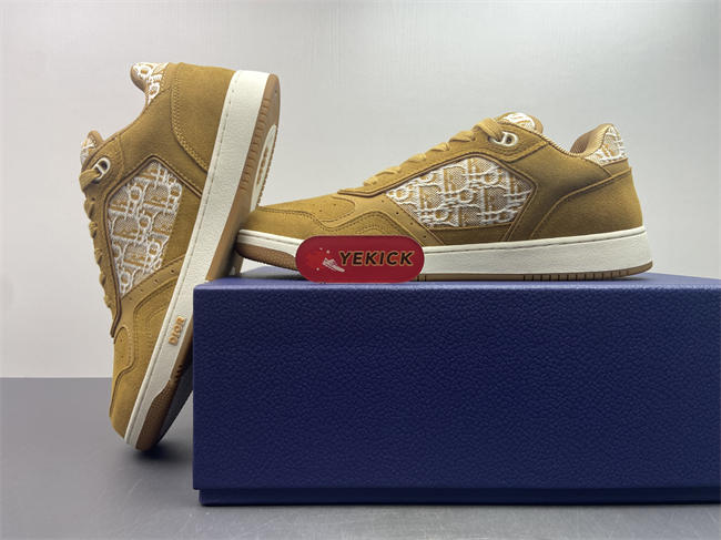 D10r b27 sneaker